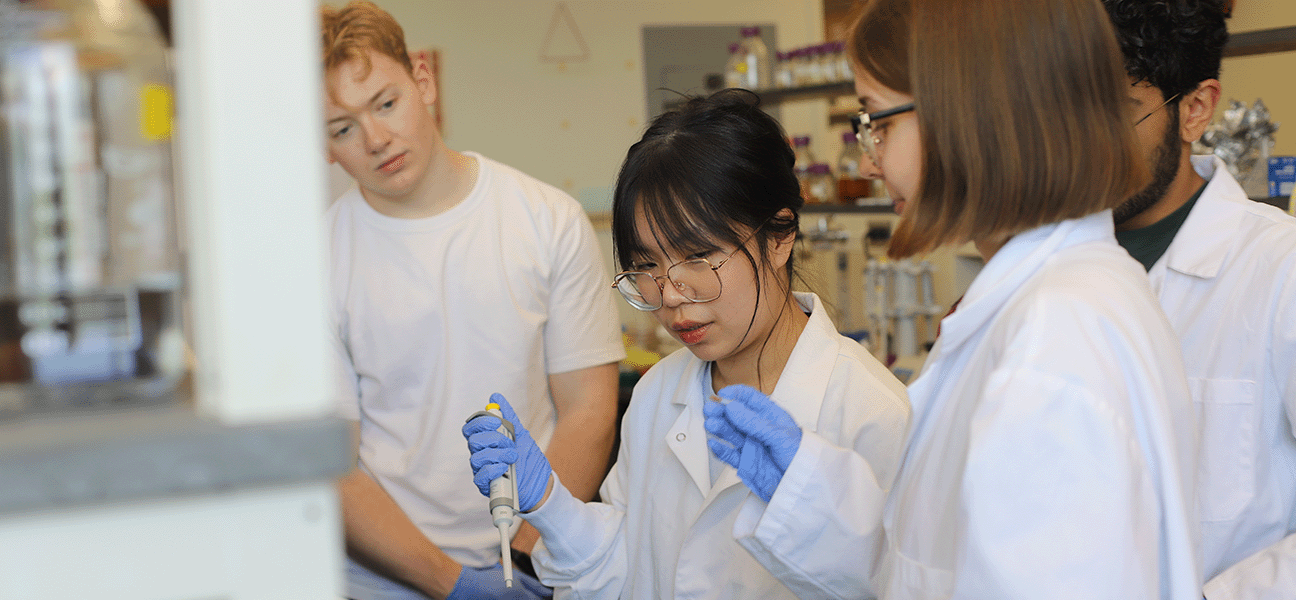 Life science students learn from instructors in the UTM research labs